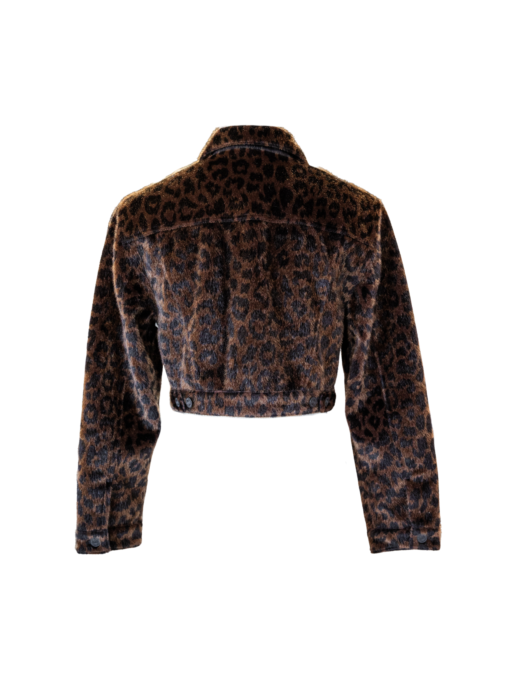 The Short Stack - On the Prowl