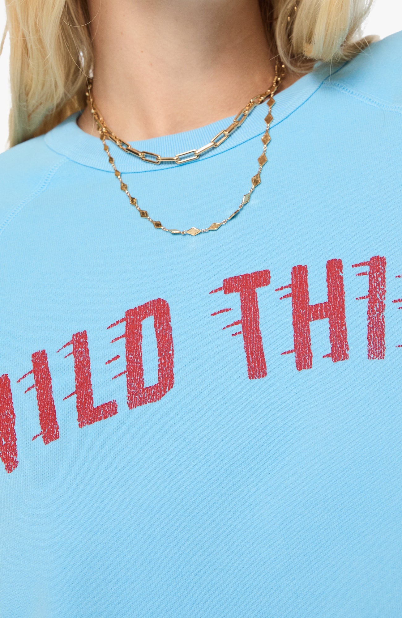The Concert - Wild Thing