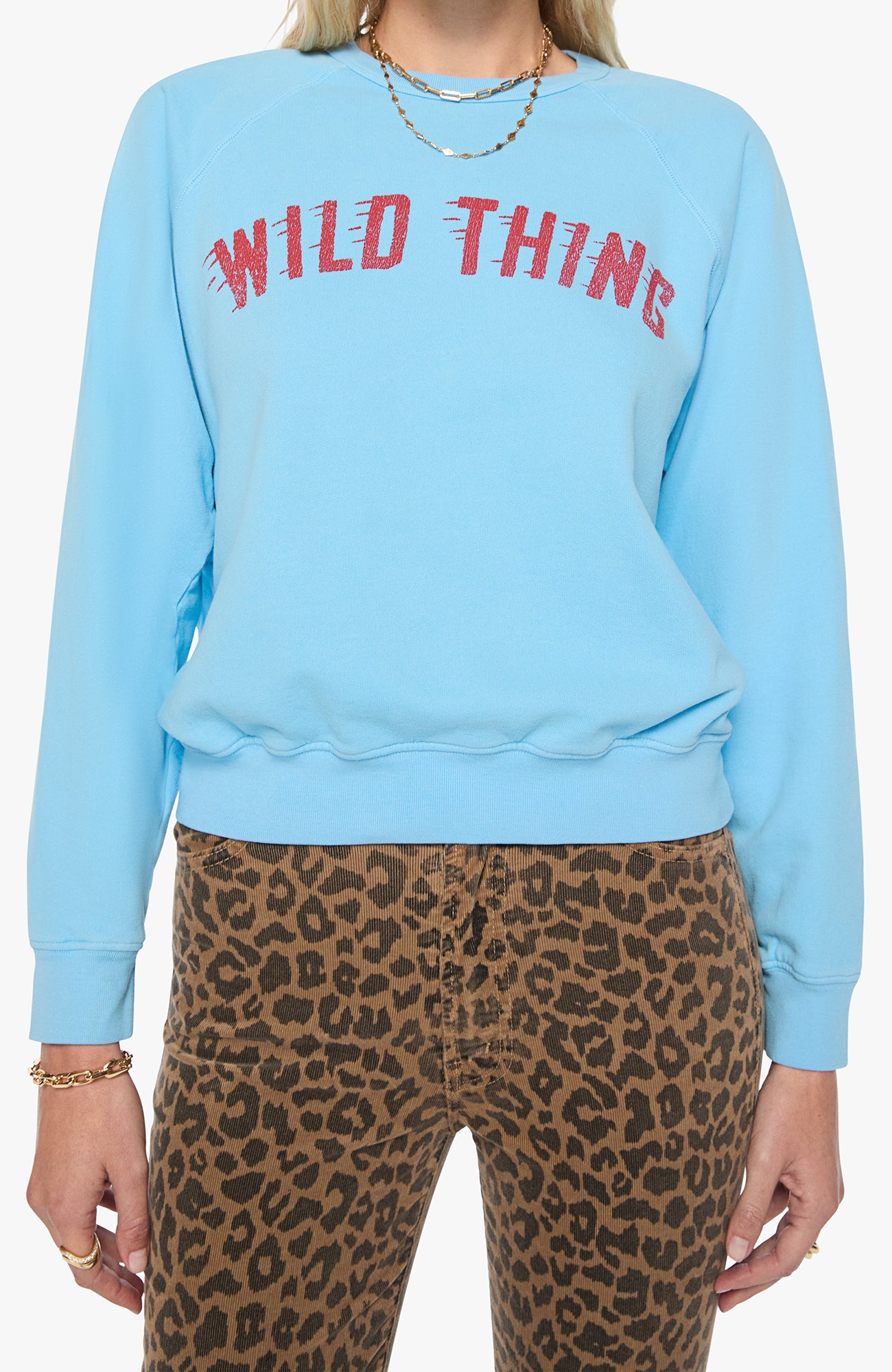 The Concert - Wild Thing