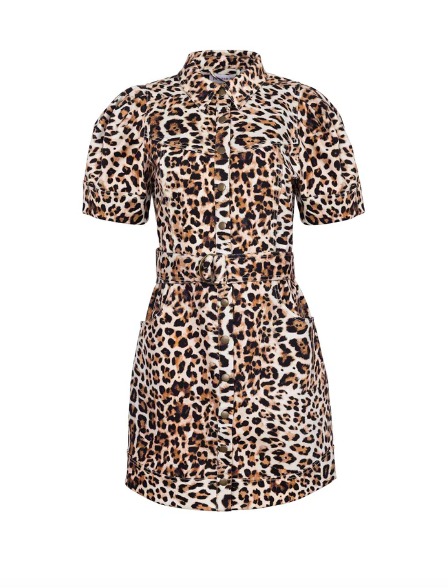 Robinson Dress - Leopard