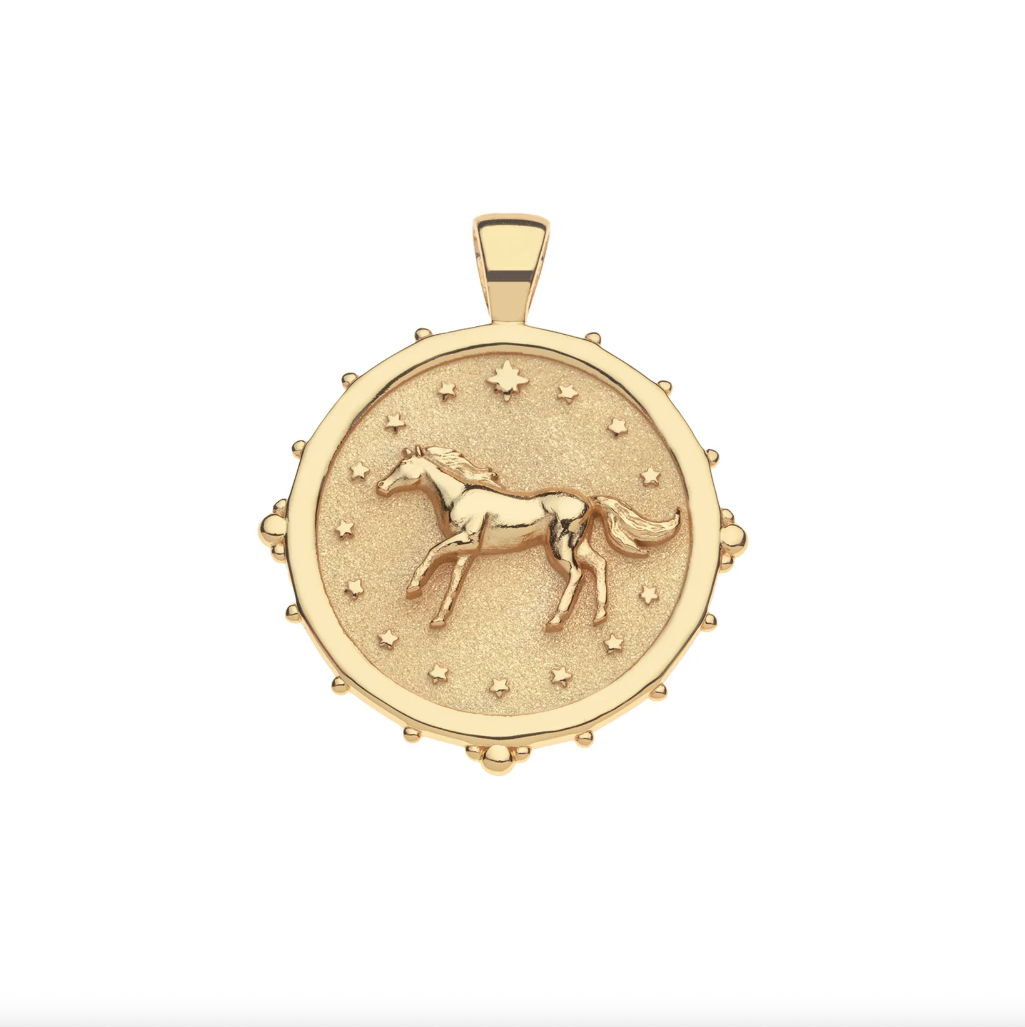 COURAGE Horse JW Original Pendant Coin on 16-18" Classic Rolo Chain