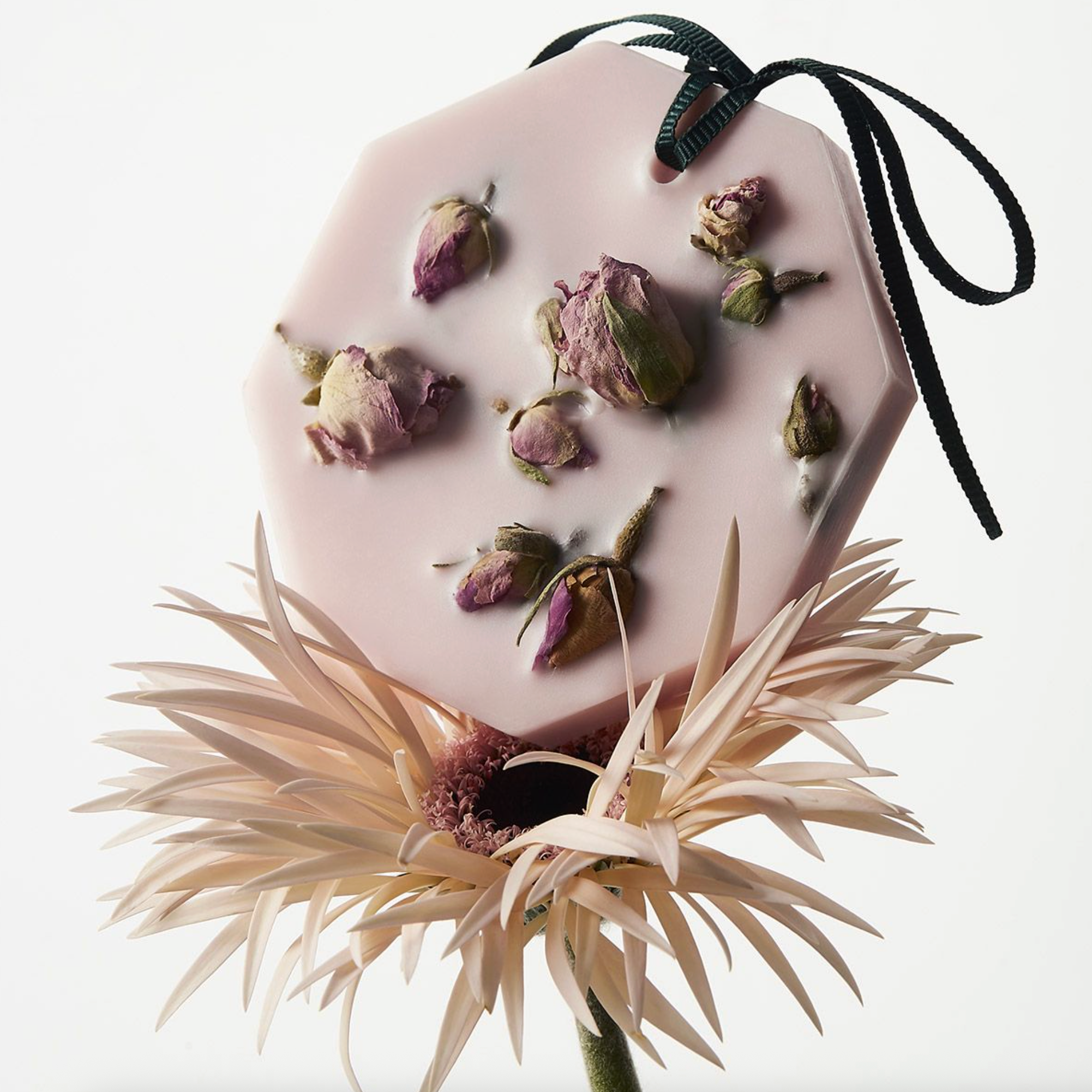 Rose Mint Botanical Palet