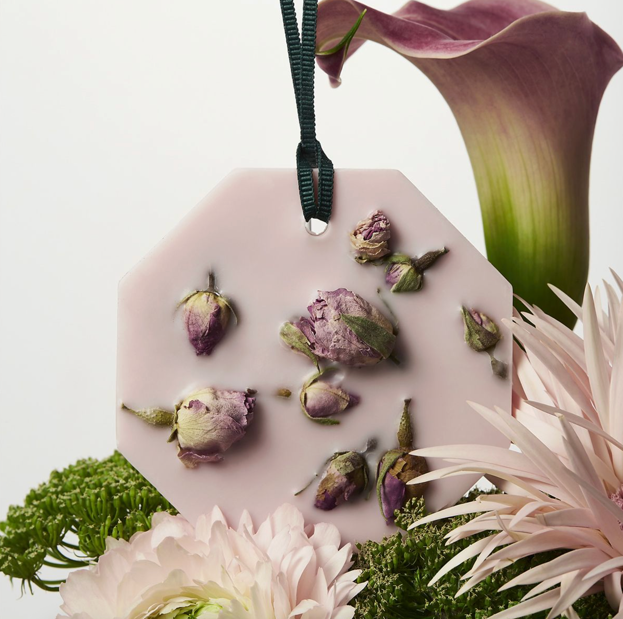 Rose Mint Botanical Palet