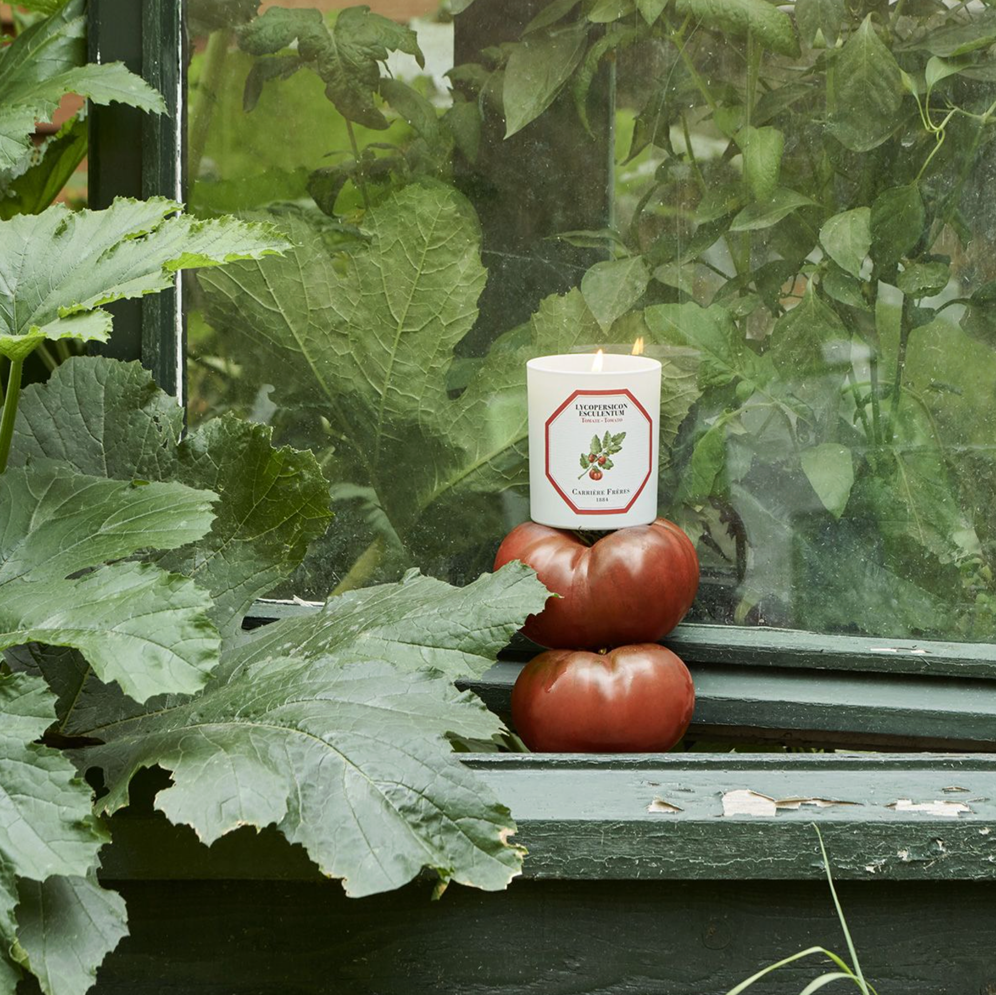 Tomato Candle