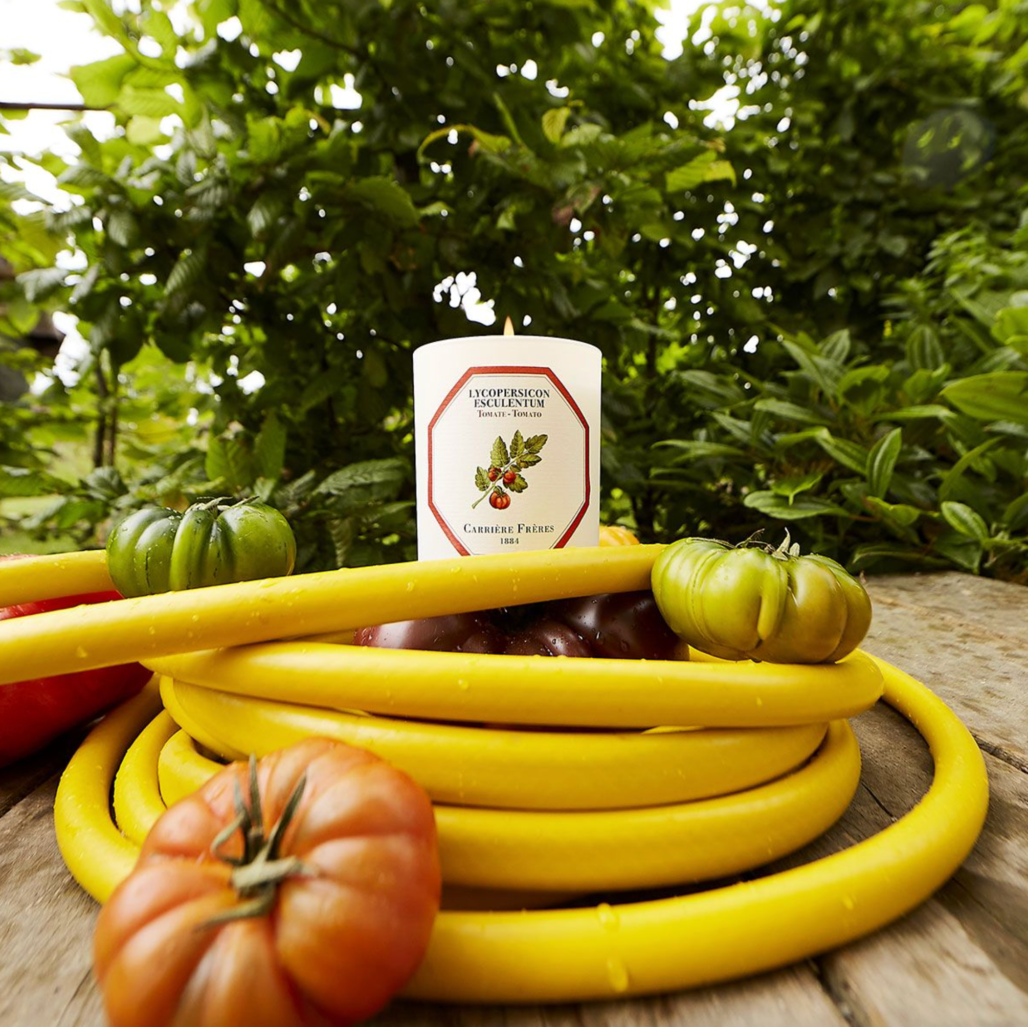 Tomato Candle