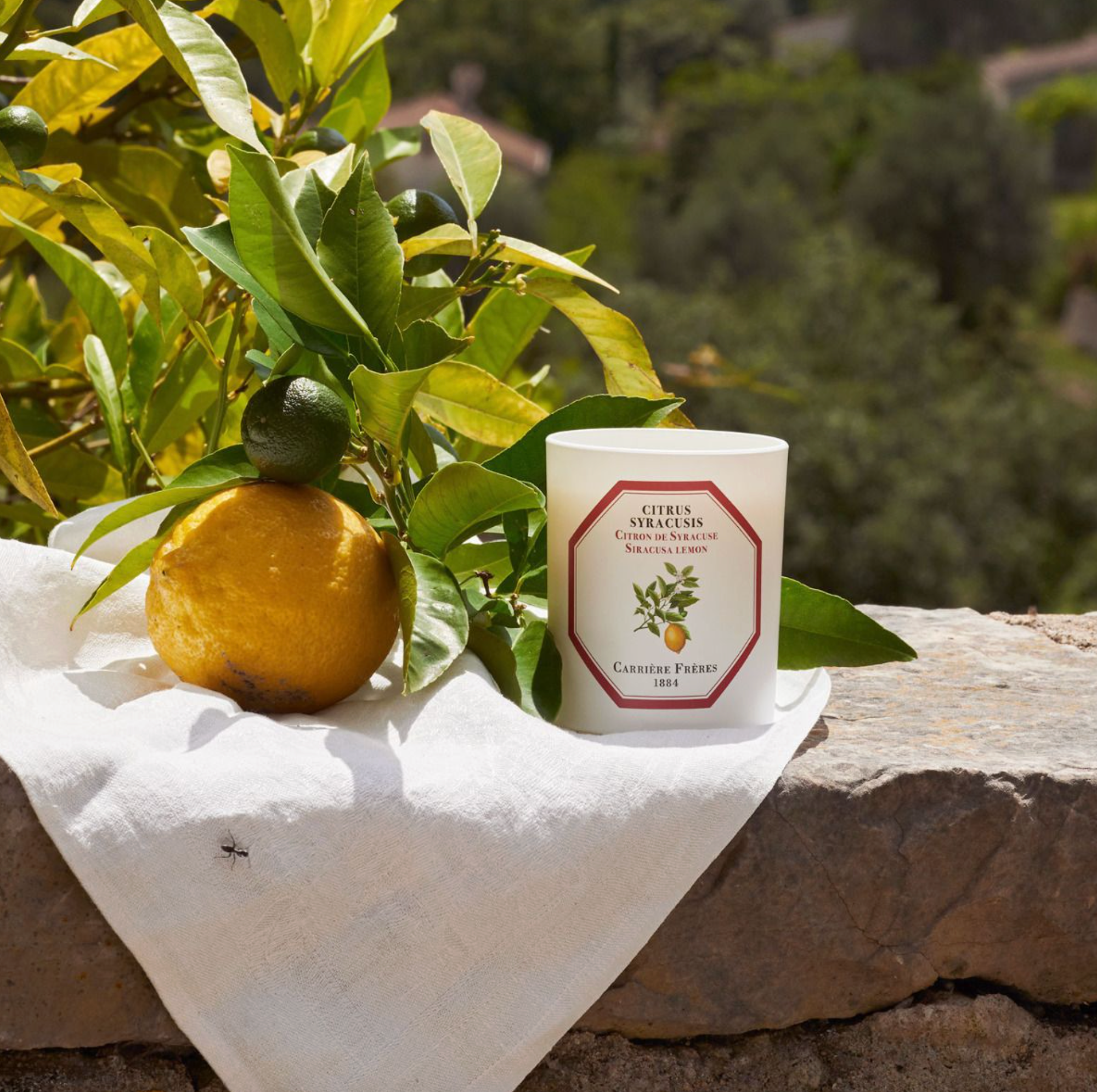 Siracusa Lemon Candle