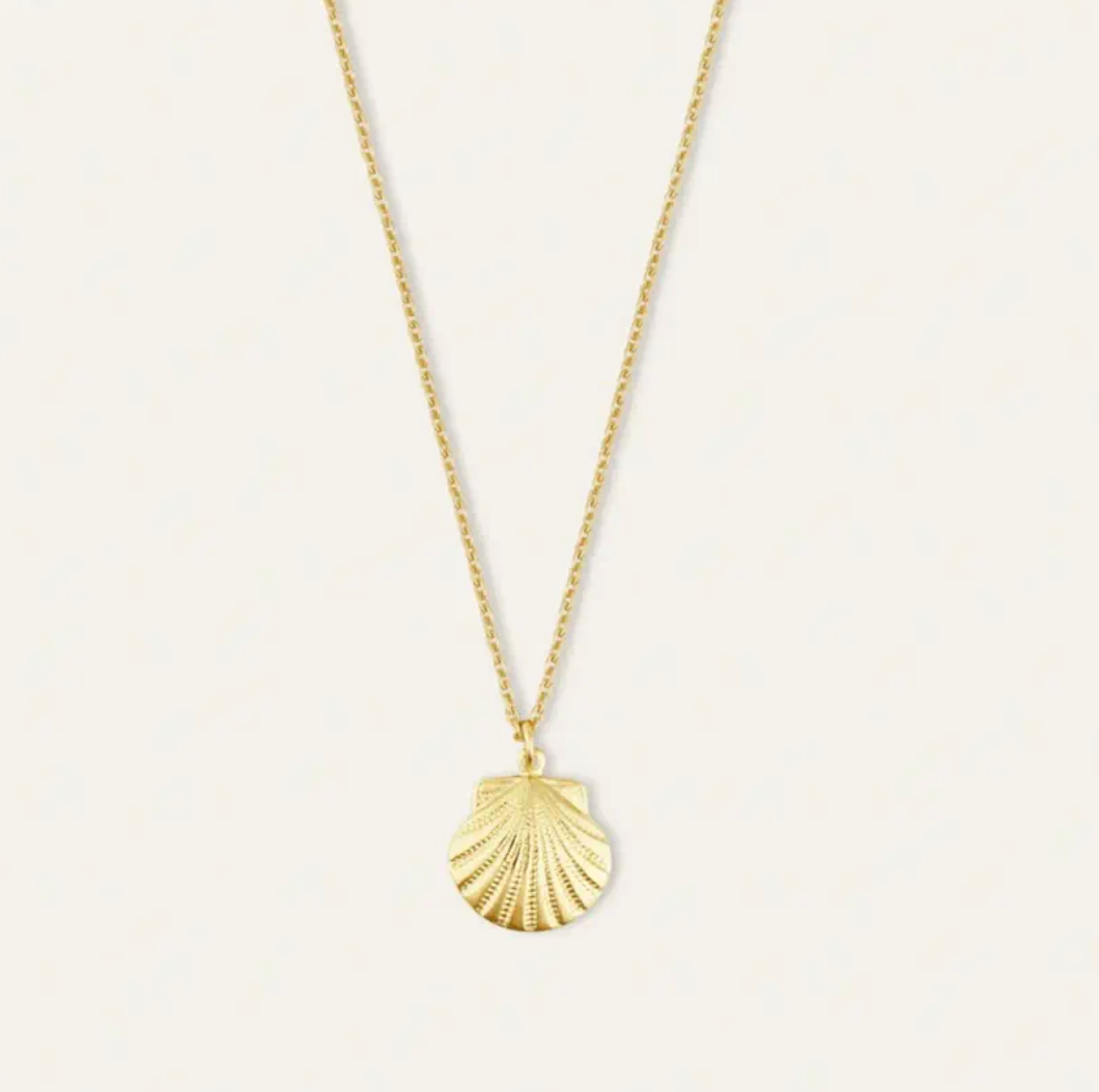 Dainty Necklace-Gold Scallop Shell Charm