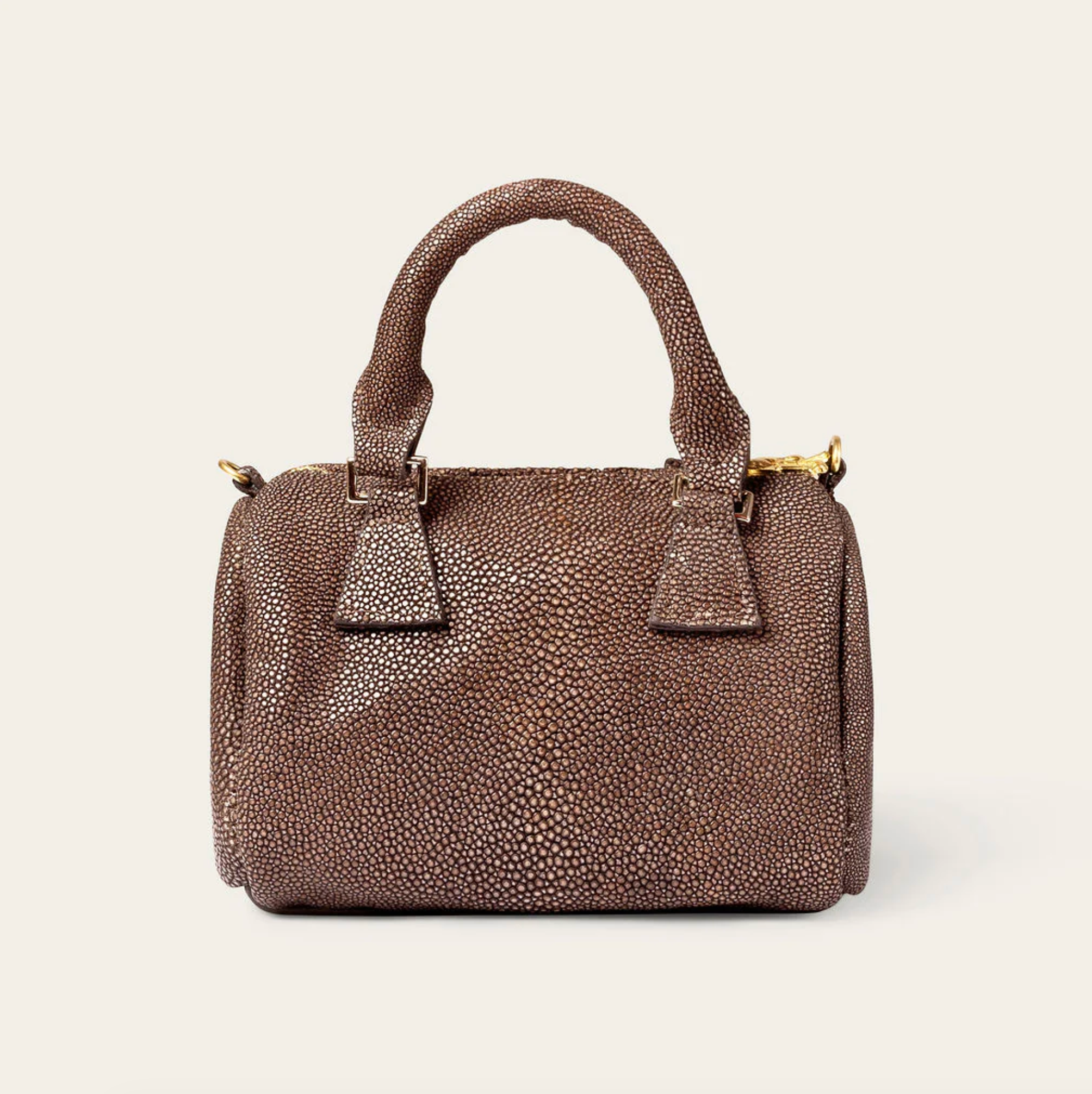 Ella Stingray Chocolate