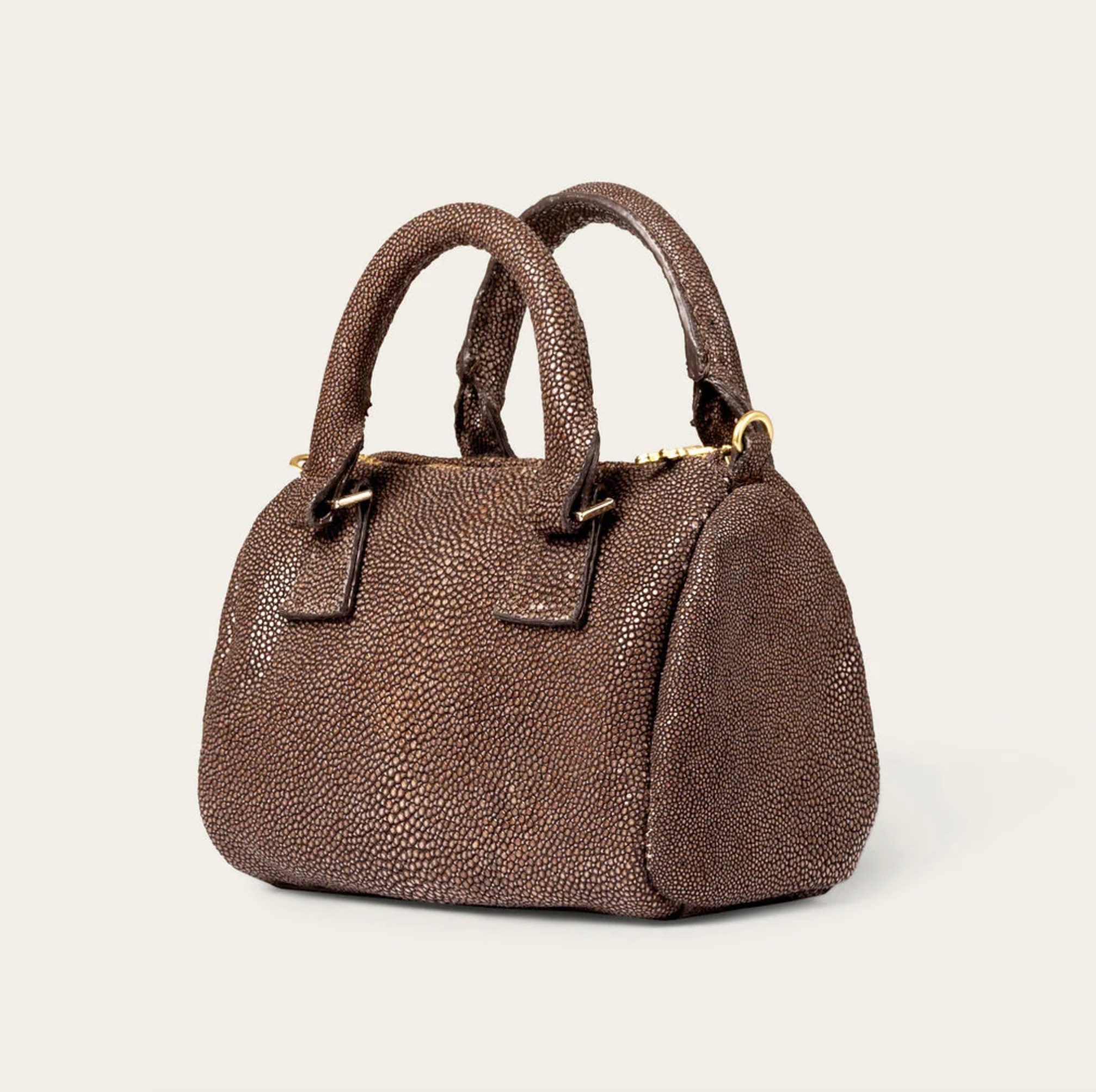 Ella Stingray Chocolate
