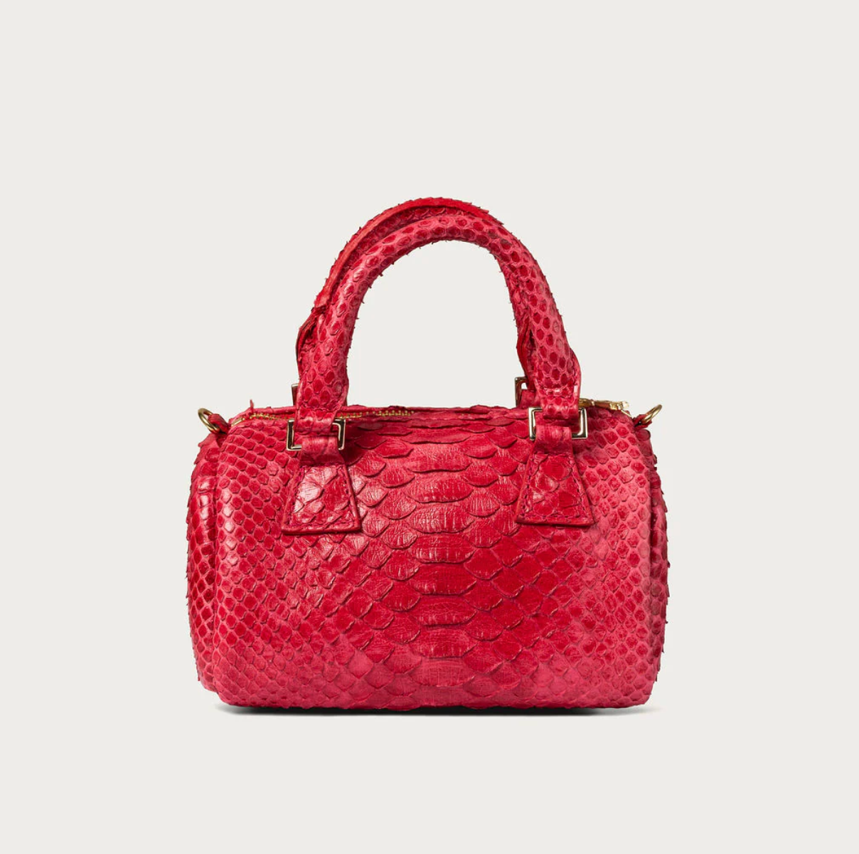 Ella Python Red
