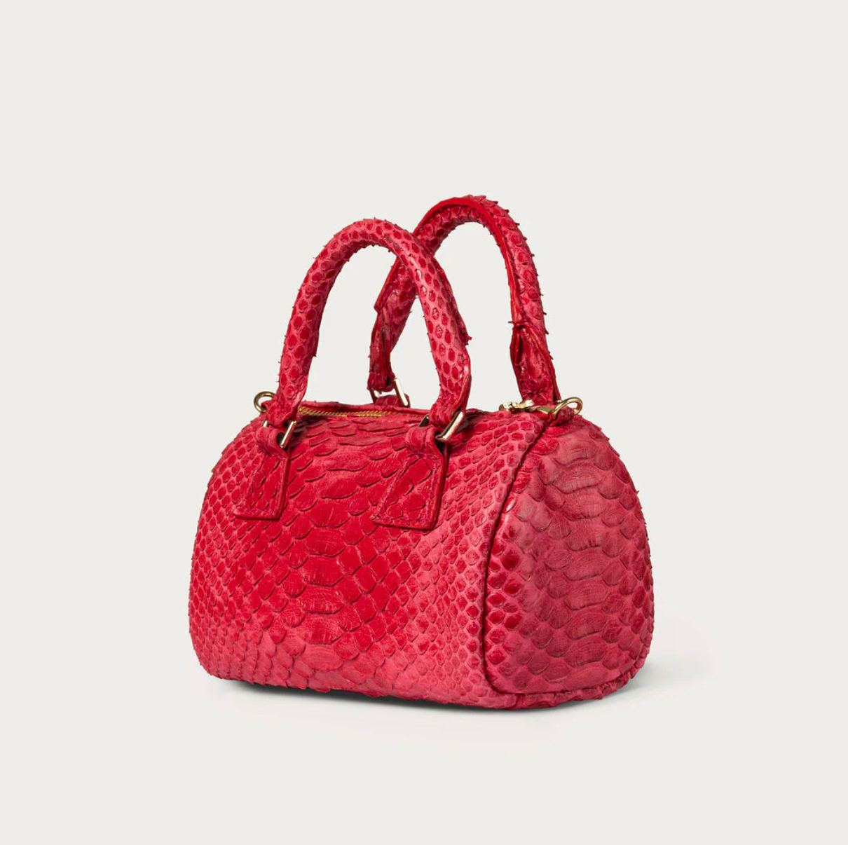 Ella Python Red