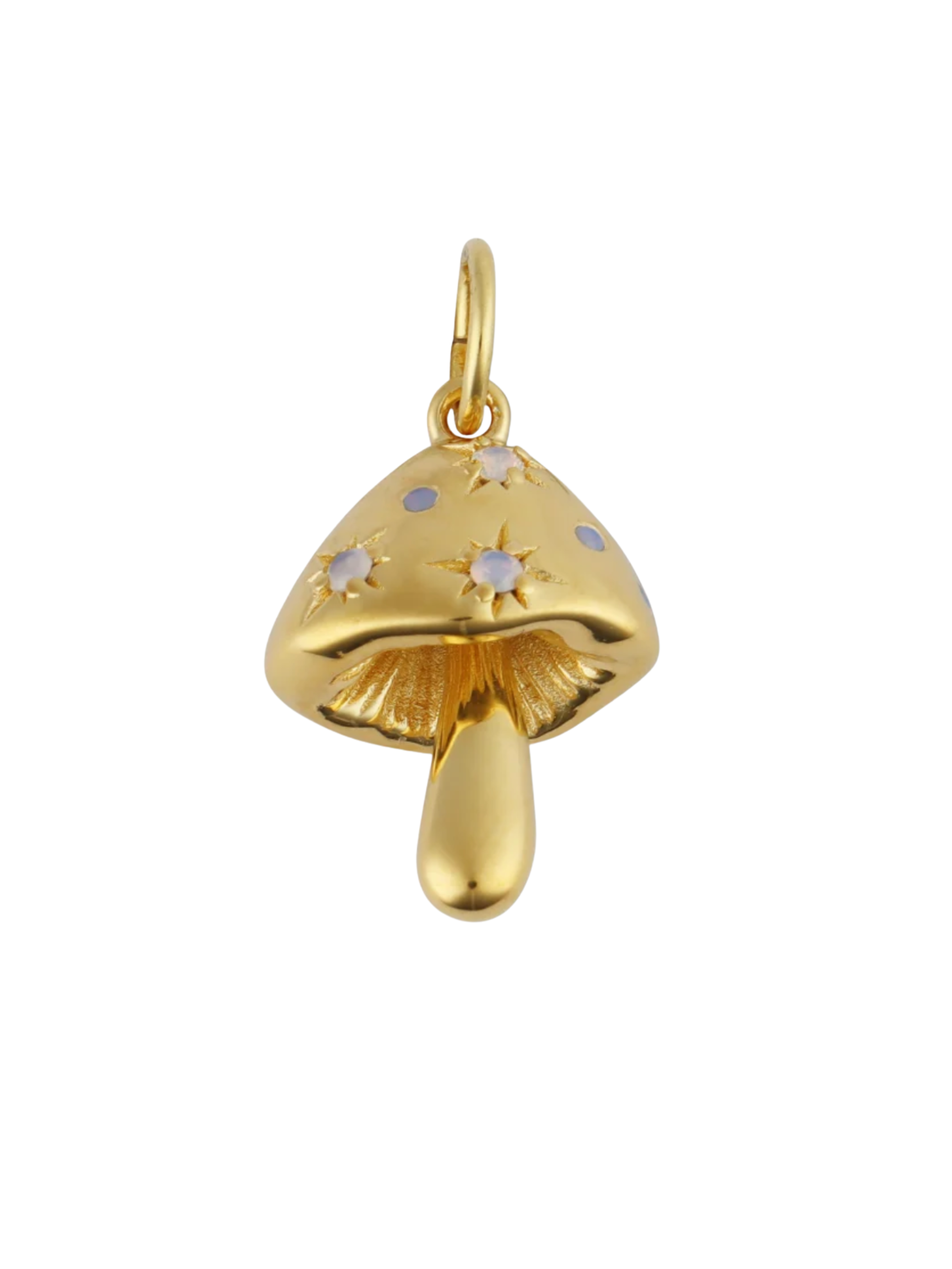 Shroomy Charm
