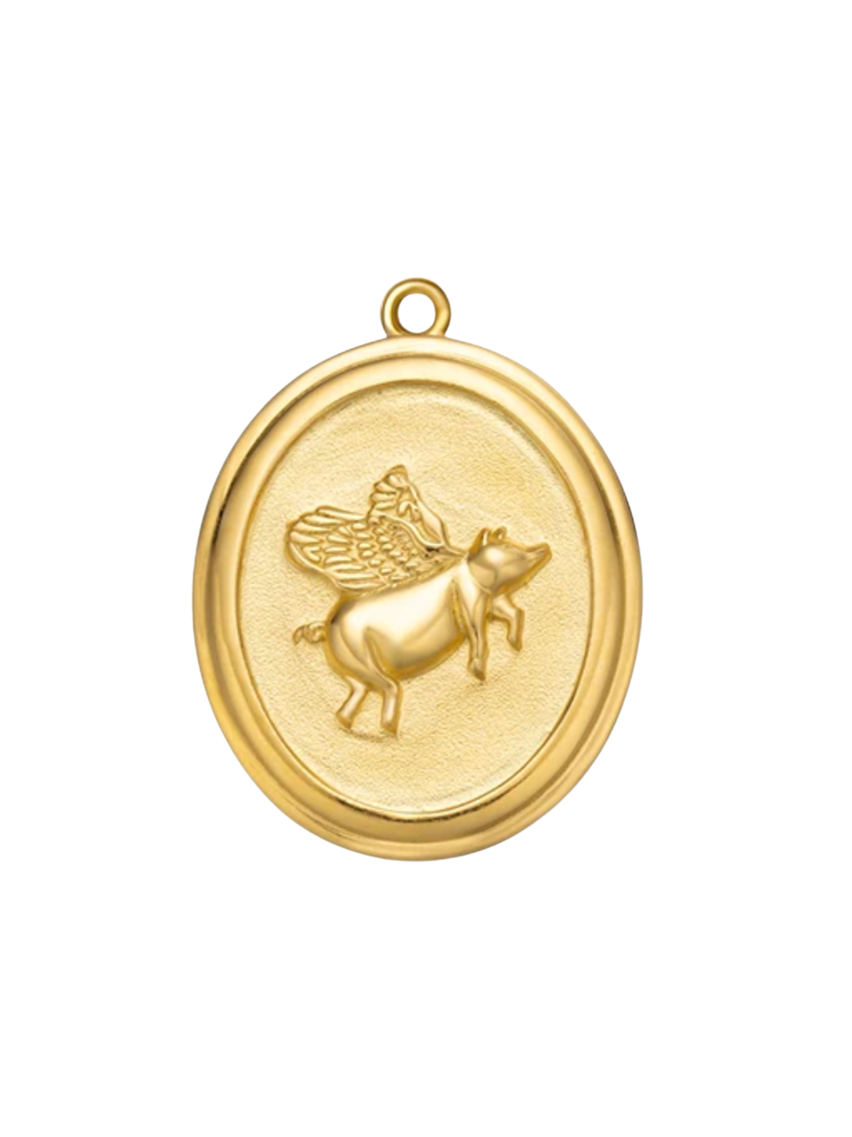 Dream Bigger Coin - Flying Pig