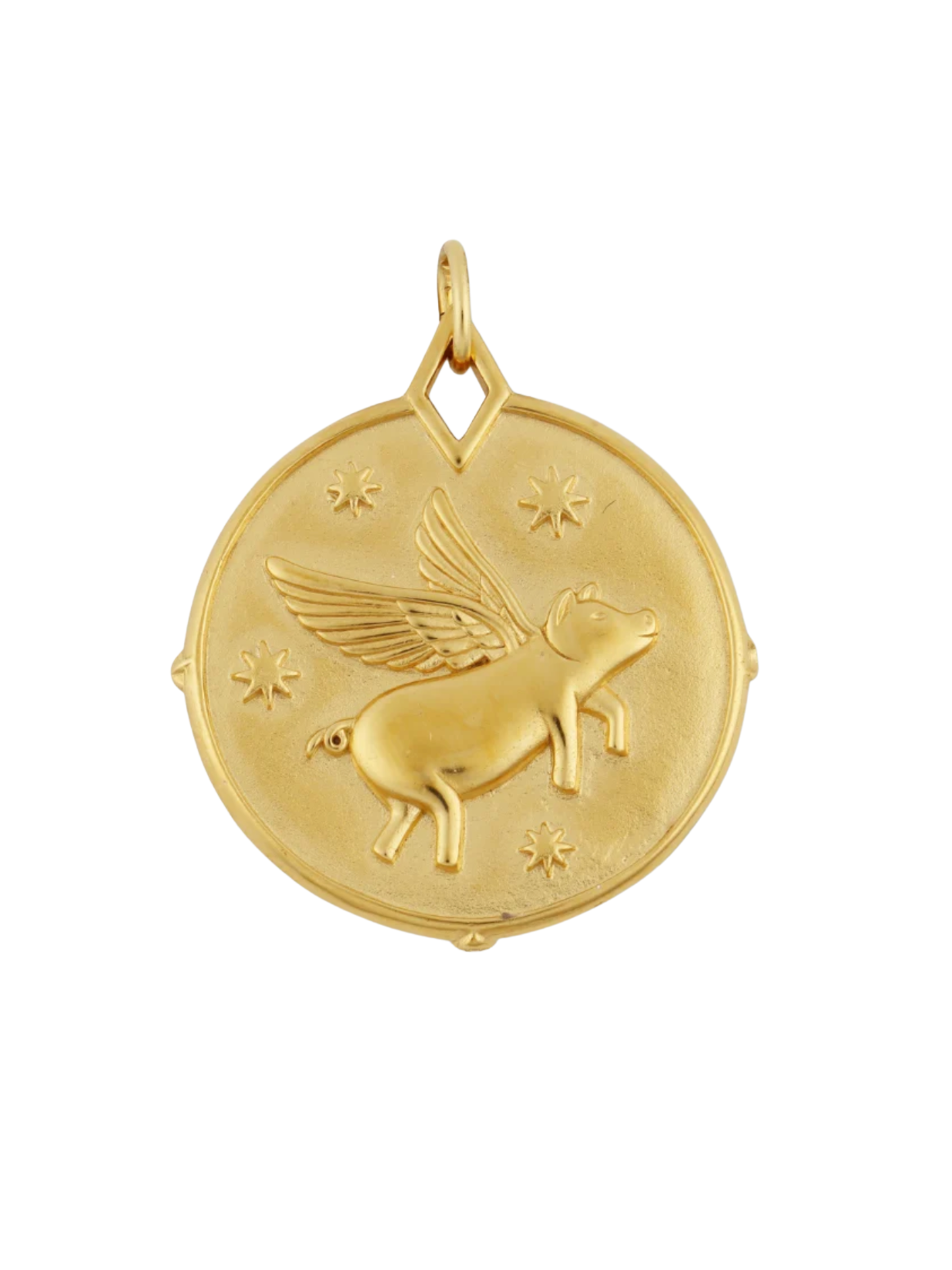 Dream Bigger Coin - Flying Pig