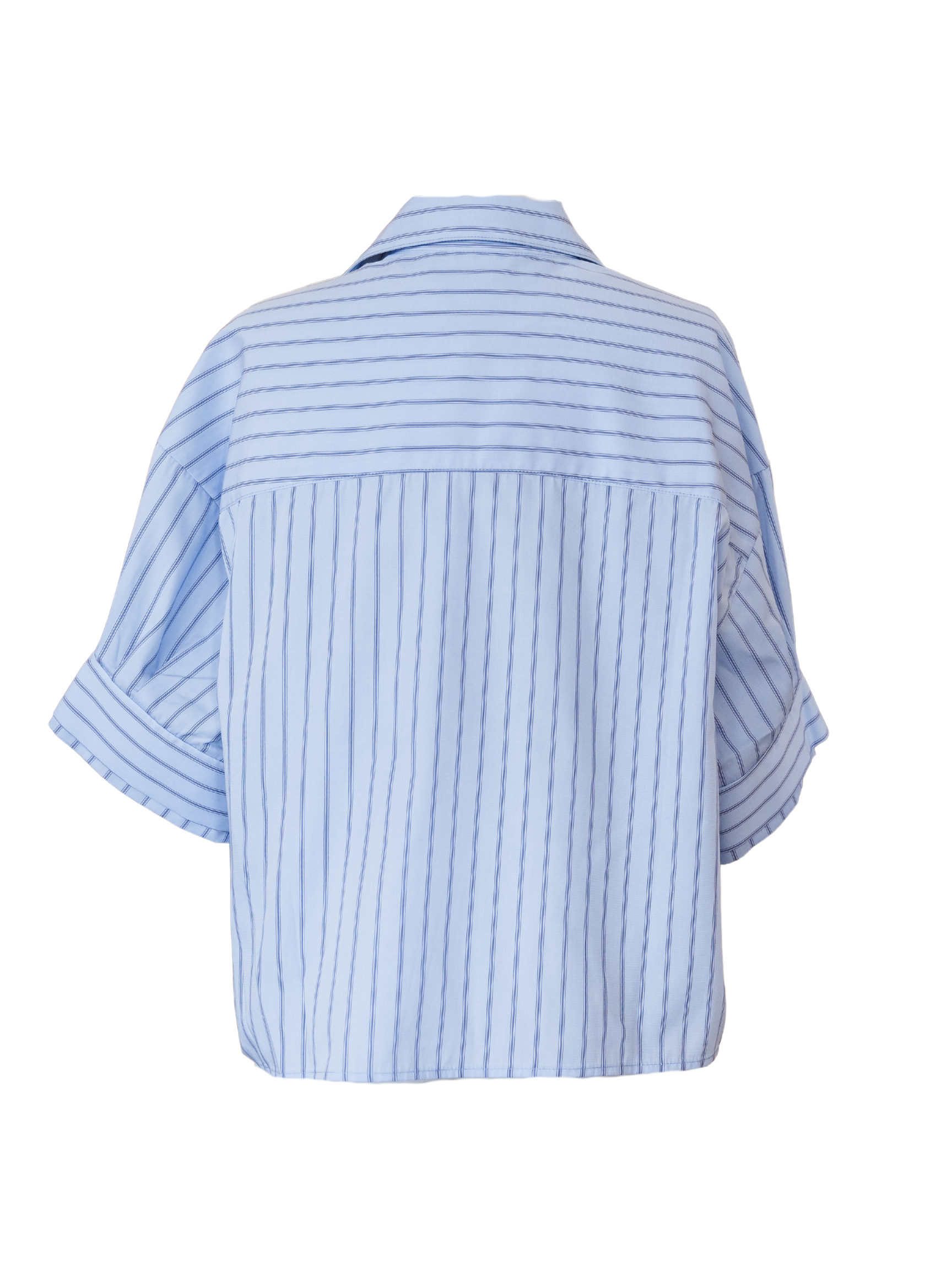 Rose Top - Blue Stripe