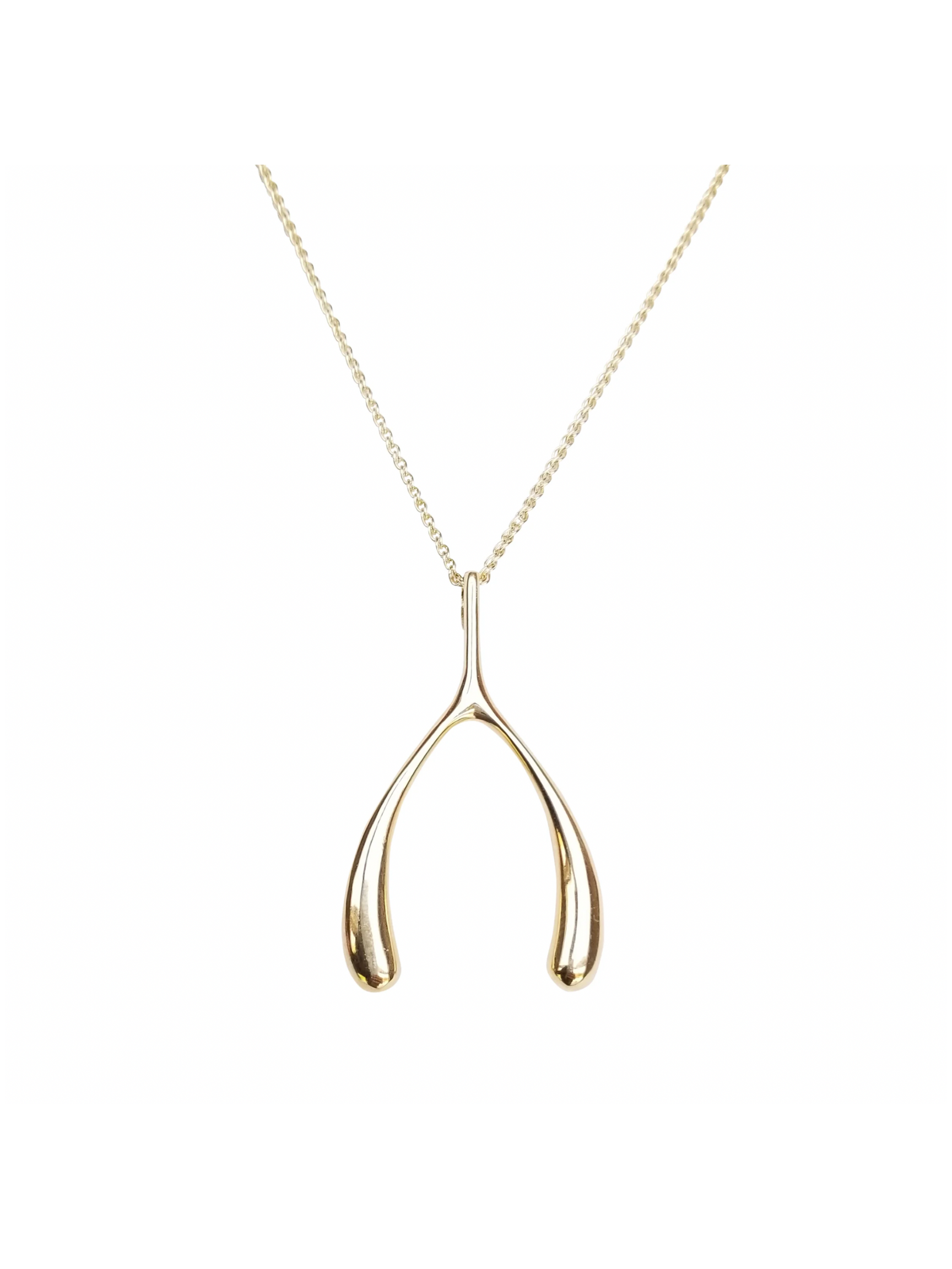 LUCKY Gold Wishbone Pendant